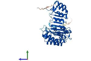 AlphaFold protein structure predicition of Mouse Recombinant Fbxl21 Protein, UniprotID Q8BFZ4