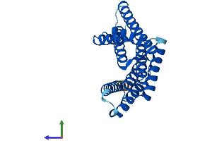 AlphaFold protein structure predicition of Human Recombinant YWHAQ Protein, UniprotID P27348