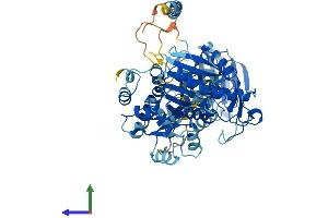 AlphaFold protein structure predicition of Human Recombinant DDX1 Protein, UniprotID Q92499