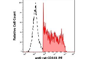Separation of rat CD28 positive splenocytes (red-filled) from CD28 negative splenocytes (black-dashed) in flow cytometry analysis (surface staining) of rat splenocyte suspension stained using anti-rat CD161 (10/78) PE antibody (concentration in sample 1 μg/mL).