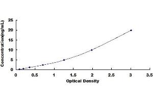 Typical standard curve (Claudin 6 Kit ELISA)