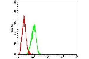 Flow cytometric analysis of HL7702 cells using MUC2 mouse mAb (green) and negative control (red).