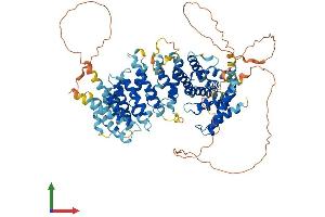 AlphaFold protein structure predicition of Mouse Recombinant Lins1 Protein, UniprotID Q3U1D0