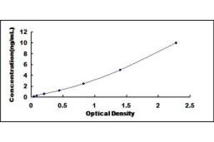 Typical standard curve (TRPM1 Kit ELISA)