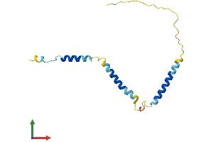 AlphaFold protein structure predicition of Human Recombinant EEF1DP3 Protein, UniprotID Q658K8