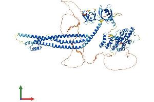 AlphaFold protein structure predicition of Human Recombinant ASAP2 Protein, UniprotID O43150