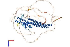 AlphaFold protein structure predicition of Mouse Recombinant Amph Protein, UniprotID Q7TQF7