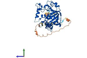 AlphaFold protein structure predicition of Human Recombinant ST6GALNAC5 Protein, UniprotID Q9BVH7