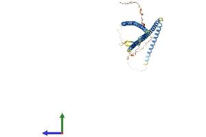 AlphaFold protein structure predicition of Human Recombinant KRT23 Protein, UniprotID Q9C075