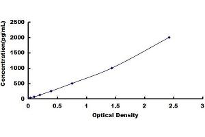 Typical standard curve