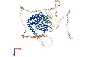 AlphaFold protein structure predicition of Human Recombinant RIPK3 Protein, UniprotID Q9Y572
