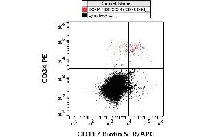 Surface staining of human peripheral blood cells with anti-CD117 (104D2) biotin, streptavidin-APC. (KIT anticorps  (Biotin))
