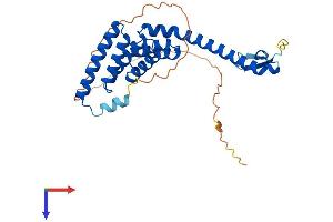 AlphaFold protein structure predicition of Human Recombinant TTC1 Protein, UniprotID Q99614