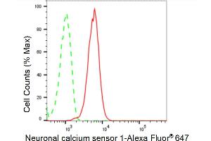 Flow cytometric analysis of Neuronal calcium sensor 1 expression in HepG2 cells using Neuronal calcium sensor 1 antibody (ABIN7799584), 1:2,000). (Recombinant NCS1 anticorps)