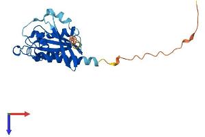 AlphaFold protein structure predicition of Human Recombinant RAB3A Protein, UniprotID P20336