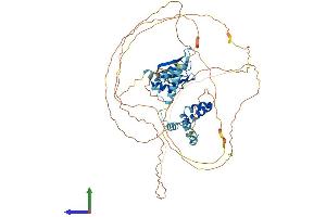 AlphaFold protein structure predicition of Mouse Recombinant Cstf2t Protein, UniprotID Q8C7E9