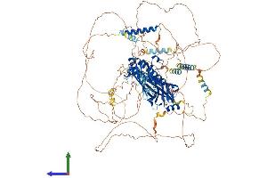 AlphaFold protein structure predicition of Human Recombinant ANLN Protein, UniprotID Q9NQW6