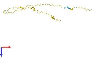 AlphaFold protein structure predicition of Human Recombinant GAGE5 Protein, UniprotID Q13069
