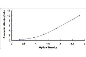 Typical standard curve (Sestrin 2 Kit ELISA)