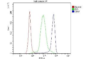 Flow Cytometry analysis of human PBMC cells using anti-CD47 antibody (ABIN6719291). (CD47 anticorps  (AA 19-323))