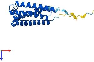 AlphaFold protein structure predicition of Mouse Recombinant Sys1 Protein, UniprotID Q78S06