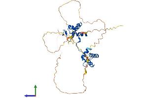 AlphaFold protein structure predicition of Mouse Recombinant Pax9 Protein, UniprotID P47242