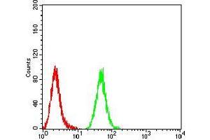Flow cytometric analysis of Hela cells using MIB1 mouse mAb (green) and negative control (red). (MIB1 anticorps  (AA 6-221))
