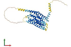 AlphaFold protein structure predicition of Human Recombinant GPER1 Protein, UniprotID Q99527
