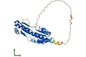 AlphaFold protein structure predicition of Mouse Recombinant Tyw3 Protein, UniprotID Q8BSA9