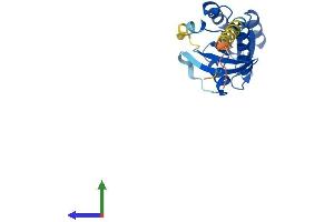 AlphaFold protein structure predicition of Mouse Recombinant Rab15 Protein, UniprotID Q8K386