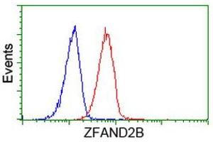Image no. 1 for anti-Zinc Finger, AN1-Type Domain 2B (ZFAND2B) antibody (ABIN1501805)