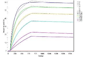 MET Recombinant Monoclonal Antibody  captured on Protein A Chip can bind Recombinant Human MET with an affinity constant of 0.
