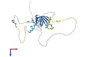 AlphaFold protein structure predicition of Human Recombinant LSM11 Protein, UniprotID P83369