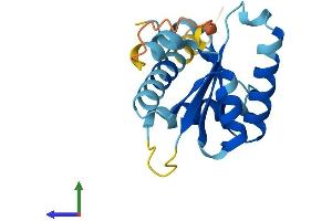 AlphaFold protein structure predicition of Human Recombinant GADD45A Protein, UniprotID P24522