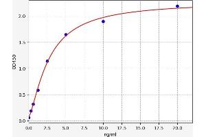 Typical standard curve (Septin 3 Kit ELISA)