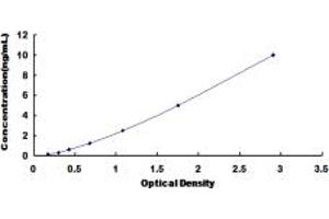 Typical standard curve (MAT2A Kit ELISA)