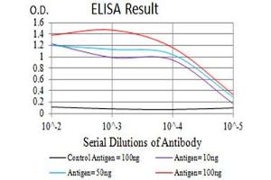 Black line: Control Antigen (100 ng),Purple line: Antigen (10 ng), Blue line: Antigen (50 ng), Red line:Antigen (100 ng)