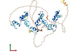 AlphaFold protein structure predicition of Human Recombinant ZNF35 Protein, UniprotID P13682
