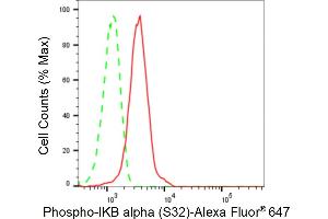 Flow cytometric analysis of Phospho-IKB alpha (S32) expression in HepG2 cells using Phospho-IKB alpha (S32) antibody (ABIN7799639), 1:2,000).