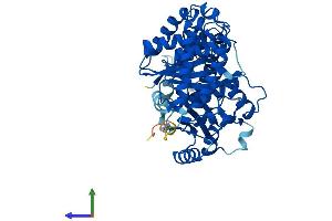 AlphaFold protein structure predicition of Mouse Recombinant Tuba1c Protein, UniprotID P68373