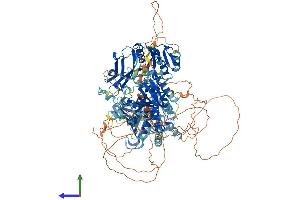 AlphaFold protein structure predicition of Mouse Recombinant Pitpnm1 Protein, UniprotID O35954