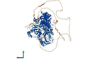 AlphaFold protein structure predicition of Human Recombinant SEC24D Protein, UniprotID O94855