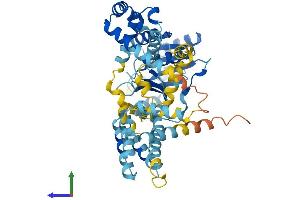 AlphaFold protein structure predicition of Mouse Recombinant Srp54 Protein, UniprotID P14576