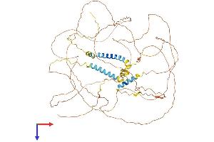 AlphaFold protein structure predicition of Mouse Recombinant Trdn Protein, UniprotID E9Q9K5