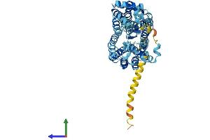 AlphaFold protein structure predicition of Mouse Recombinant Slc22a6 Protein, UniprotID Q8VC69
