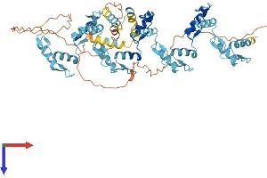 AlphaFold protein structure predicition of Human Recombinant ZSCAN2 Protein, UniprotID Q7Z7L9
