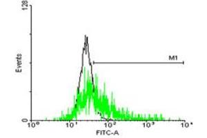FACS analysis of negative control 293 cells (Black) and GLIPR1L1 expressing 293 cells (Green) using GLIPR1L1 purified MaxPab mouse polyclonal antibody. (GLIPR1L1 anticorps  (AA 1-233))