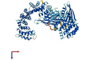 AlphaFold protein structure predicition of Mouse Recombinant Copg2 Protein, UniprotID Q9QXK3