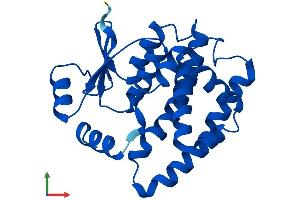AlphaFold protein structure predicition of Human Recombinant GSTA1 Protein, UniprotID P08263