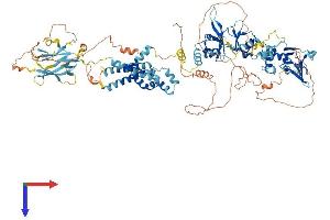 AlphaFold protein structure predicition of Human Recombinant CNNM1 Protein, UniprotID Q9NRU3